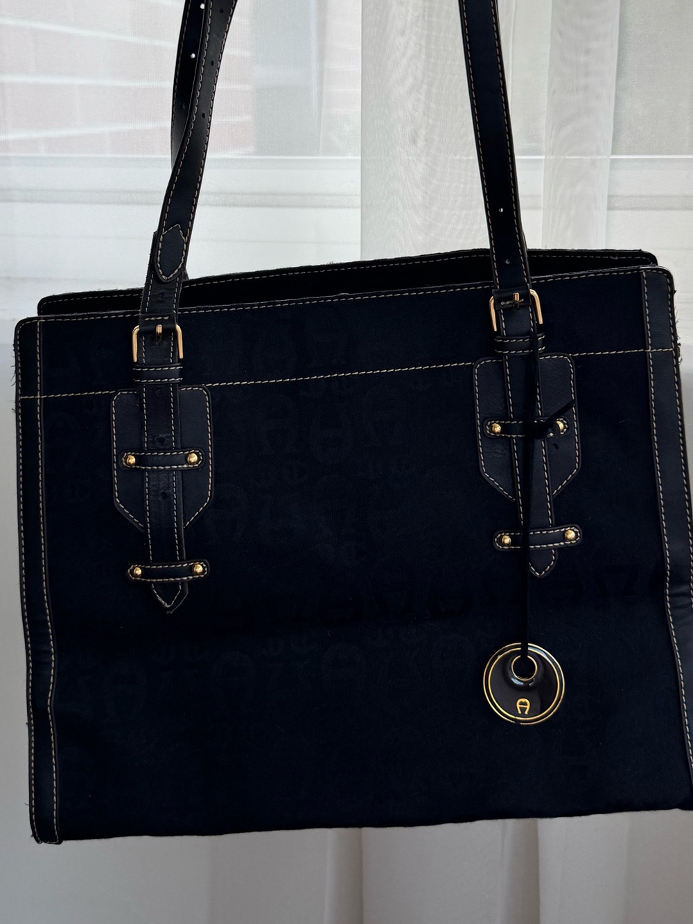 Etienne Aigner Black Women's Tote Bag with Gold Accent